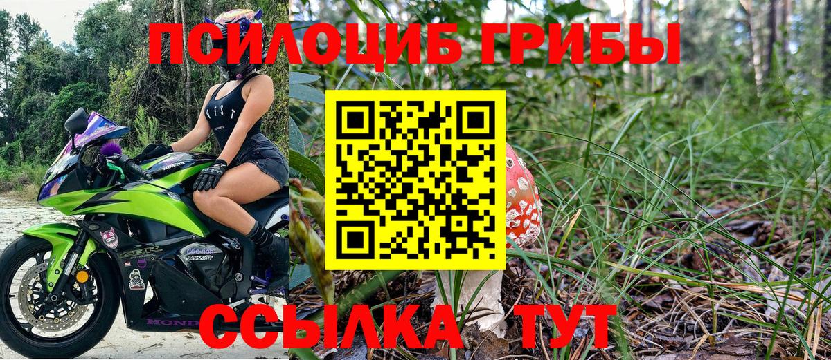 Псилоцибиновые грибы Psilocybine cubensis  Вход с VPN  Вышний Волочёк 