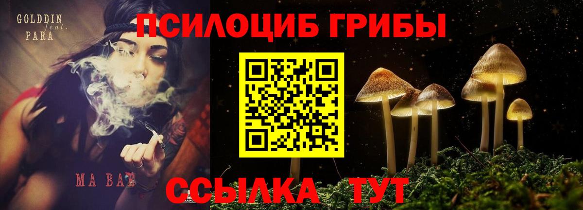 Псилоцибиновые грибы Magic Shrooms Вышний Волочёк